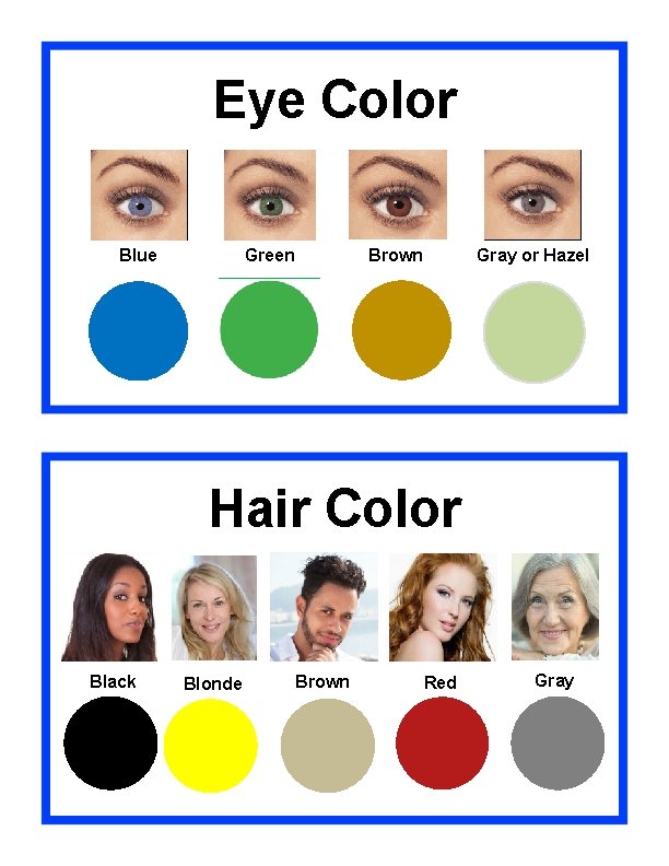 Eye Color Blue Green Brown Gray or Hazel Hair Color Black Blonde Brown Red