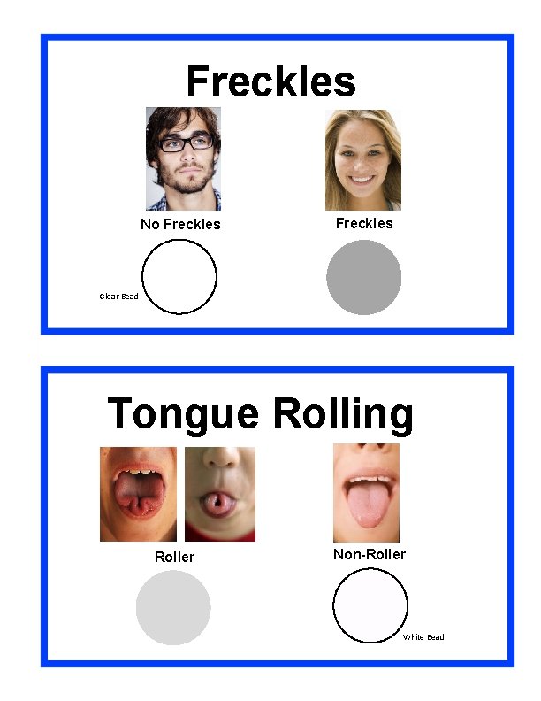 Freckles No Freckles Clear Bead Tongue Rolling Roller Non-Roller White Bead 