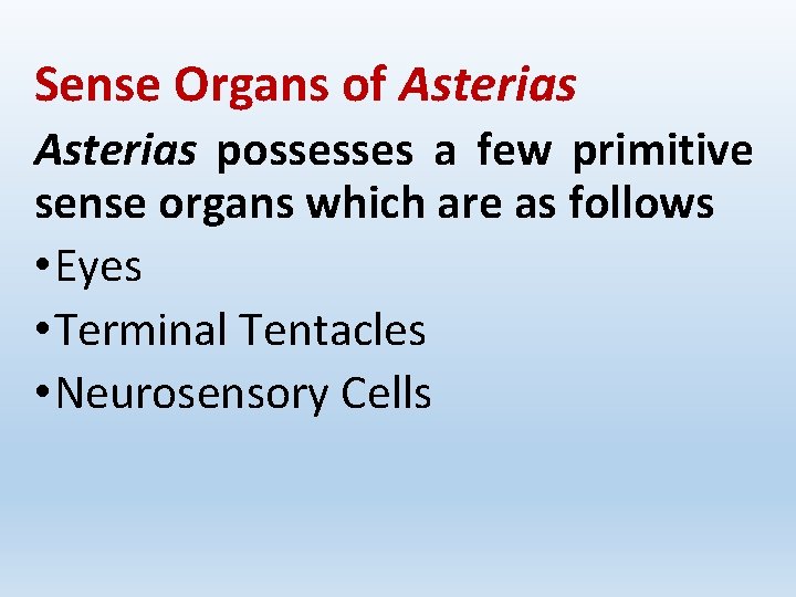 Sense Organs of Asterias possesses a few primitive sense organs which are as follows