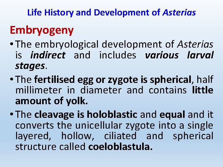 Life History and Development of Asterias Embryogeny • The embryological development of Asterias is