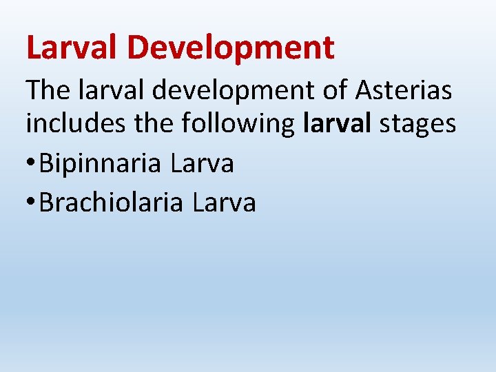 Larval Development The larval development of Asterias includes the following larval stages • Bipinnaria