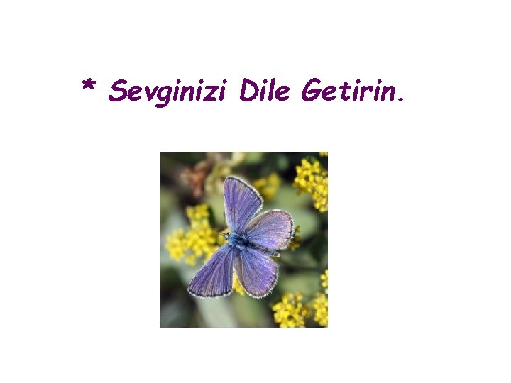 * Sevginizi Dile Getirin. * Sevginizi Dile Getirin.