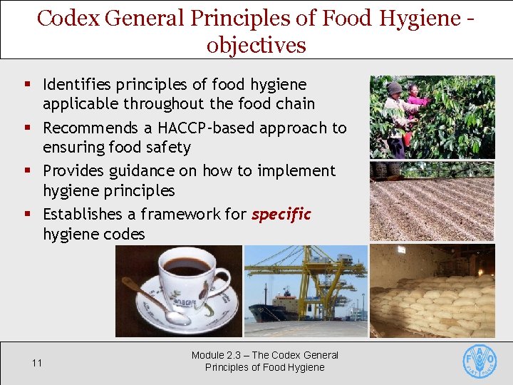 Codex General Principles of Food Hygiene objectives § Identifies principles of food hygiene applicable Codex General Principles of Food Hygiene objectives § Identifies principles of food hygiene applicable