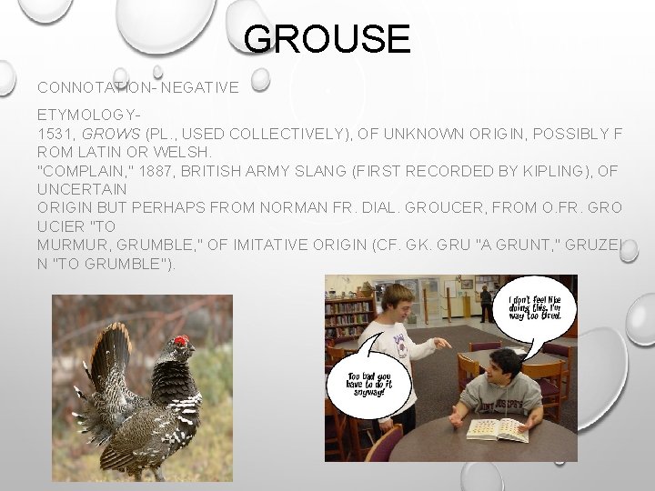 GROUSE CONNOTATION- NEGATIVE ETYMOLOGY 1531, GROWS (PL. , USED COLLECTIVELY), OF UNKNOWN ORIGIN, POSSIBLY