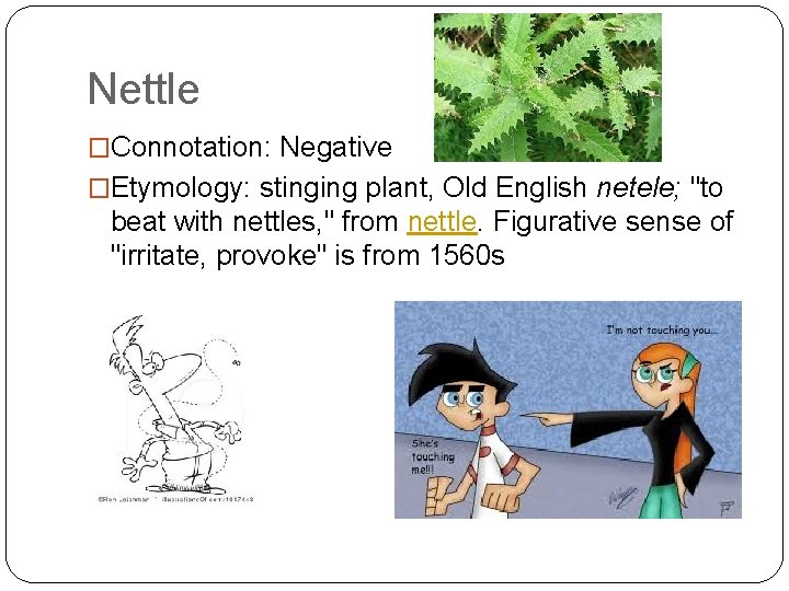 Nettle �Connotation: Negative �Etymology: stinging plant, Old English netele; "to beat with nettles, "