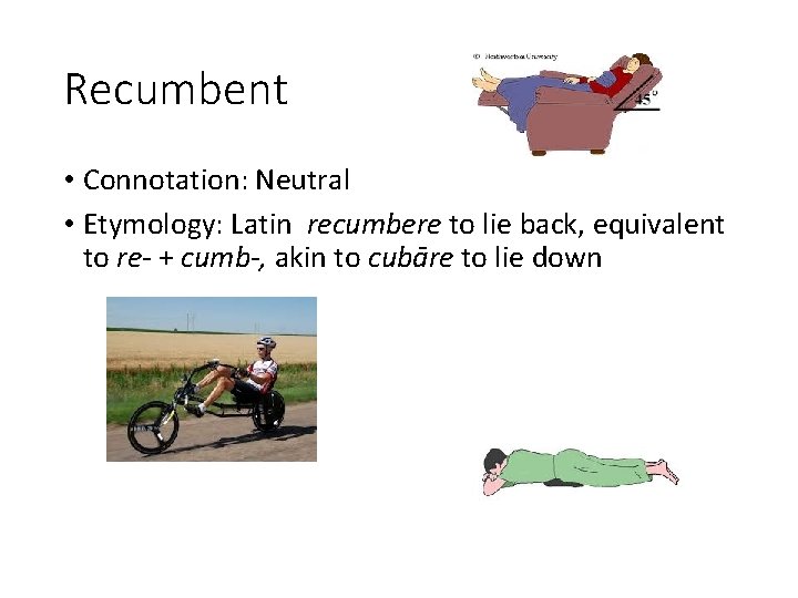 Recumbent • Connotation: Neutral • Etymology: Latin recumbere to lie back, equivalent to re-