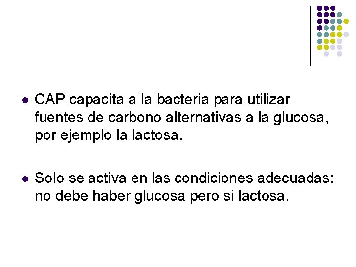 l CAP capacita a la bacteria para utilizar fuentes de carbono alternativas a la