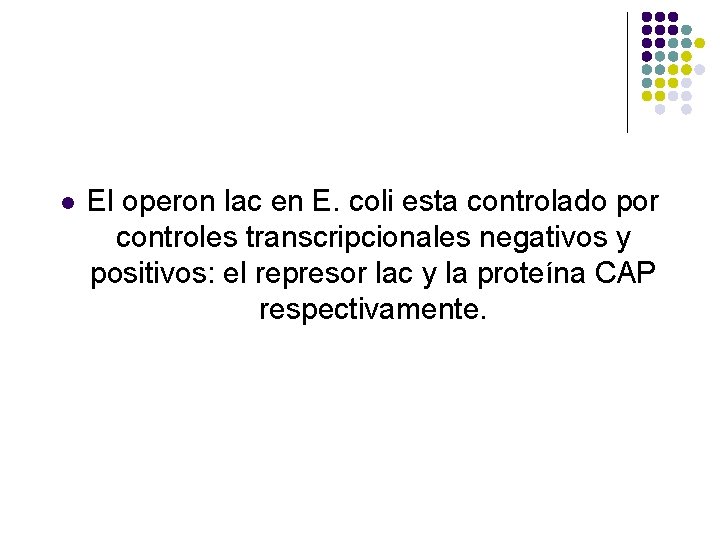 l El operon lac en E. coli esta controlado por controles transcripcionales negativos y
