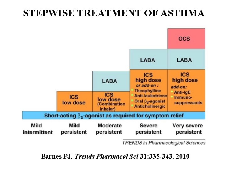 STEPWISE TREATMENT OF ASTHMA Barnes PJ. Trends Pharmacol Sci 31: 335 -343, 2010 