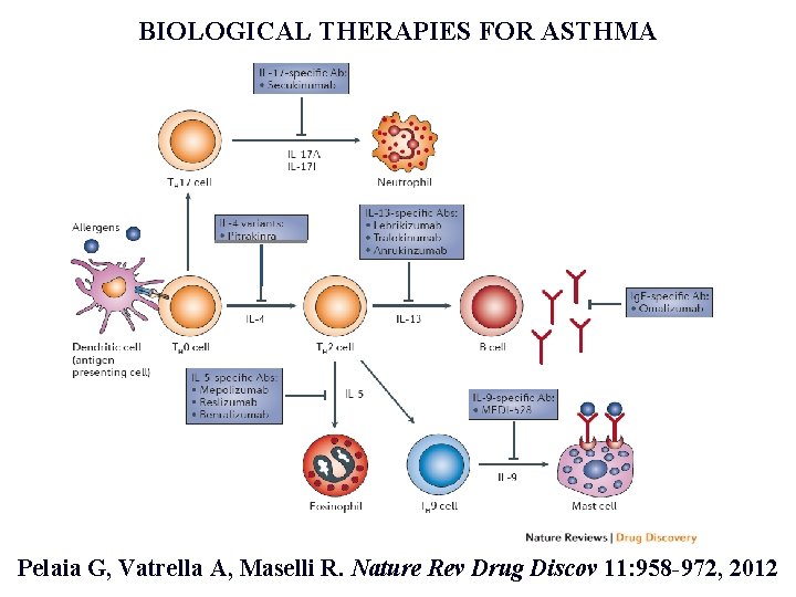 BIOLOGICAL THERAPIES FOR ASTHMA Pelaia G, Vatrella A, Maselli R. Nature Rev Drug Discov