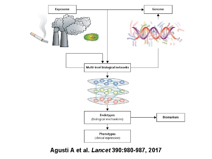 Agusti A et al. Lancet 390: 980 -987, 2017 