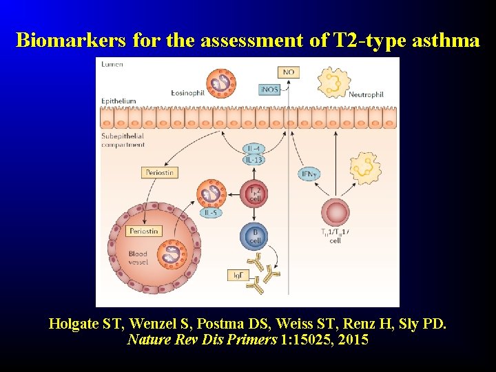 Biomarkers for the assessment of T 2 -type asthma Holgate ST, Wenzel S, Postma