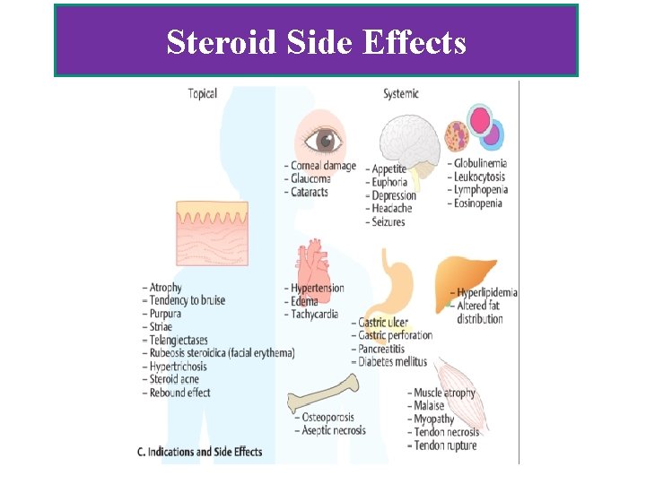Steroid Side Effects 