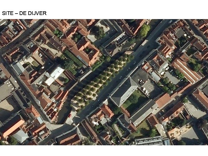 SITE – DE DIJVER 