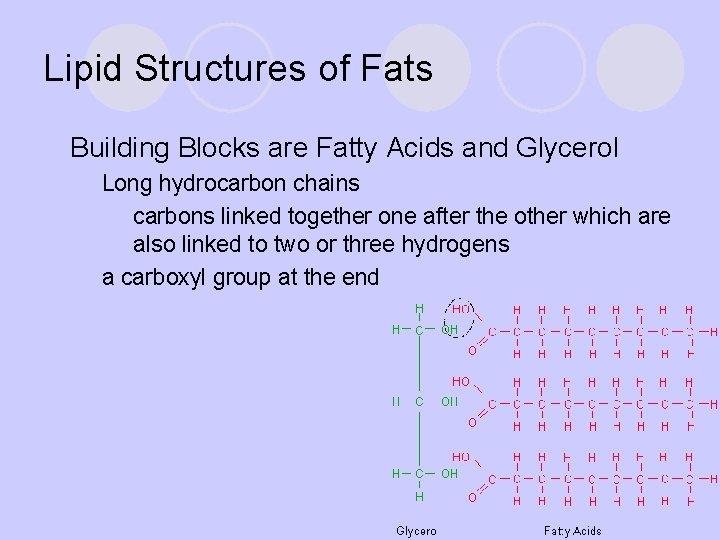 Lipid Structures of Fats l Building Blocks are Fatty Acids and Glycerol ¡ ¡