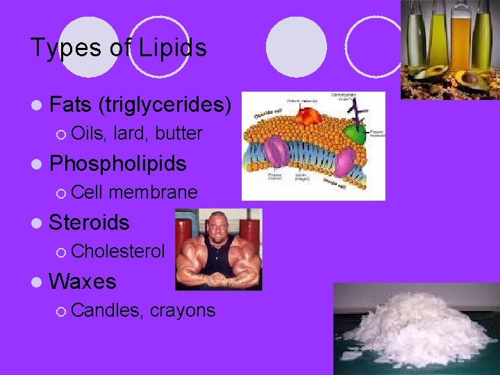 Types of Lipids l Fats (triglycerides) ¡ Oils, lard, butter l Phospholipids ¡ Cell