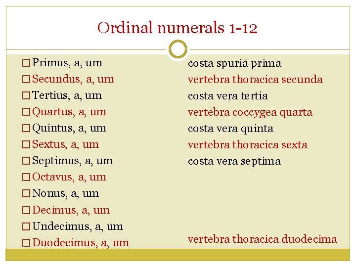 Ordinal numerals 1 -12 � Primus, a, um � Secundus, a, um � Tertius,