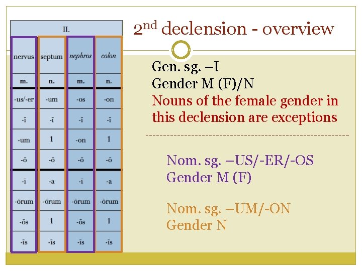 2 nd declension - overview Gen. sg. –I Gender M (F)/N Nouns of the