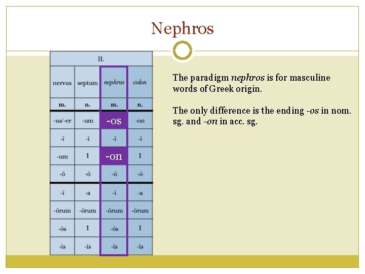 Nephros The paradigm nephros is for masculine words of Greek origin. -os -on The