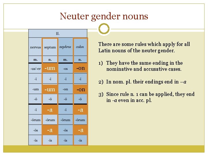Neuter gender nouns There are some rules which apply for all Latin nouns of