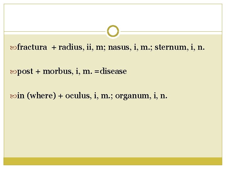  fractura + radius, ii, m; nasus, i, m. ; sternum, i, n. post