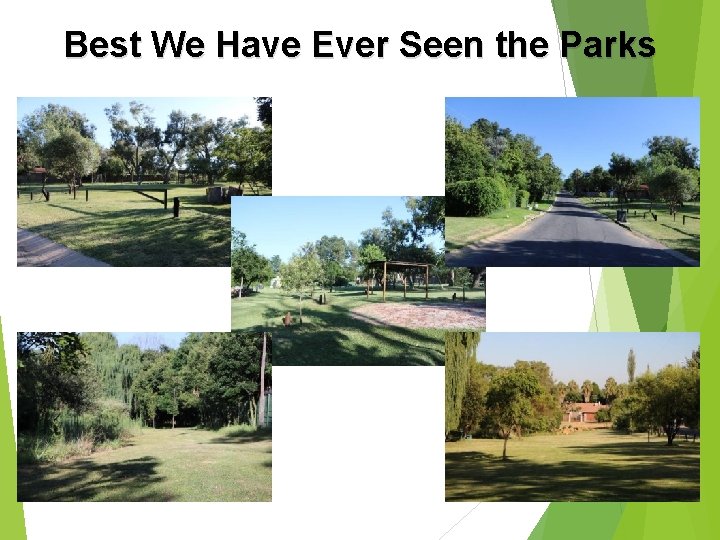 Best We Have Ever Seen the Parks 