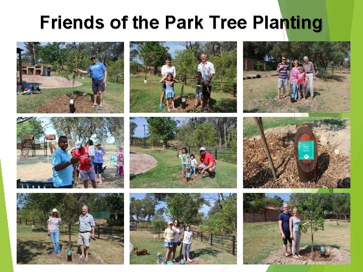 Friends of the Park Tree Planting 