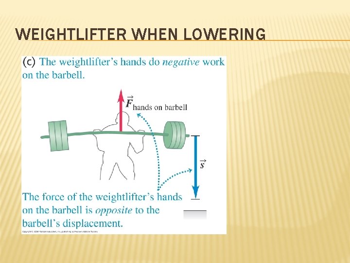 WEIGHTLIFTER WHEN LOWERING 