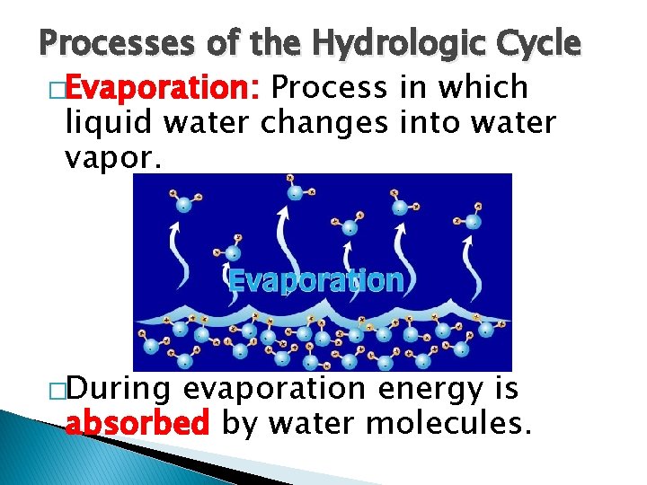 Processes of the Hydrologic Cycle �Evaporation: Process in which liquid water changes into water