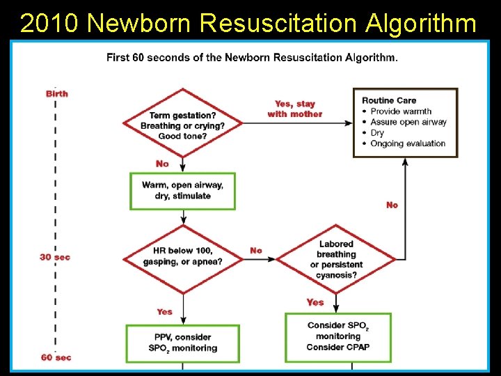2010 Newborn Resuscitation Algorithm 