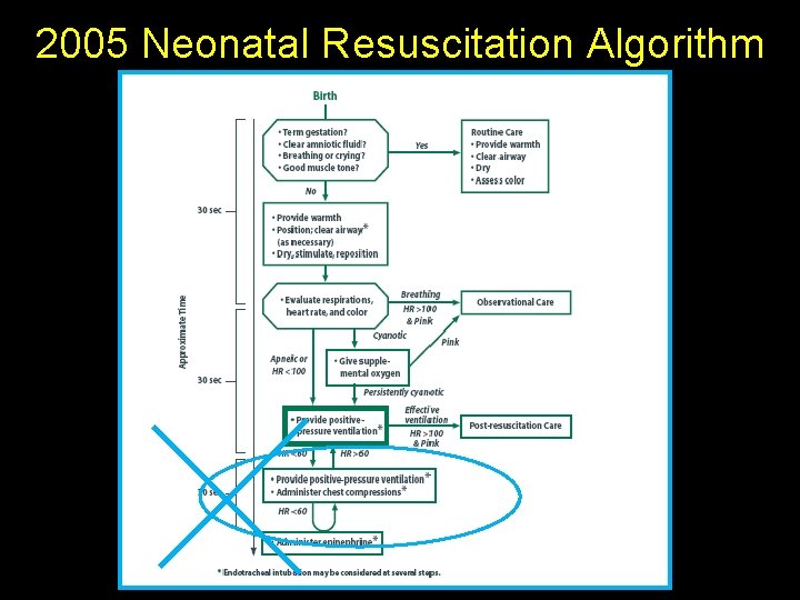 2005 Neonatal Resuscitation Algorithm 