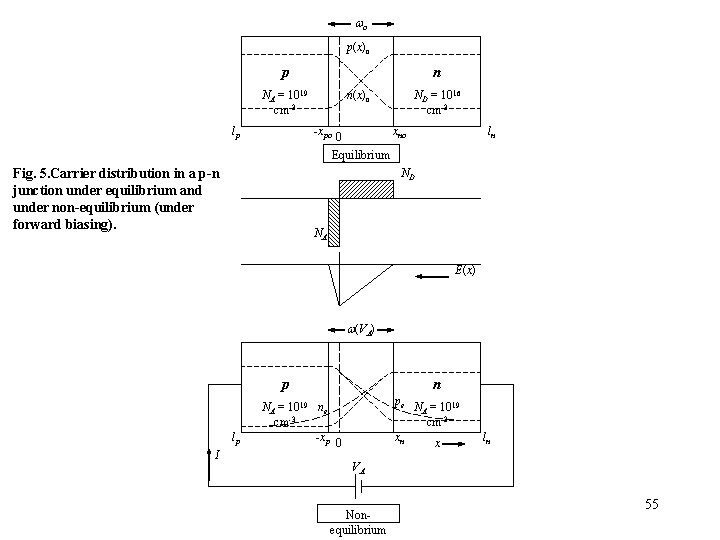 o p(x)o p n NA = 1019 cm-3 lp ND = 1016 cm-3 o p(x)o p n NA = 1019 cm-3 lp ND = 1016 cm-3