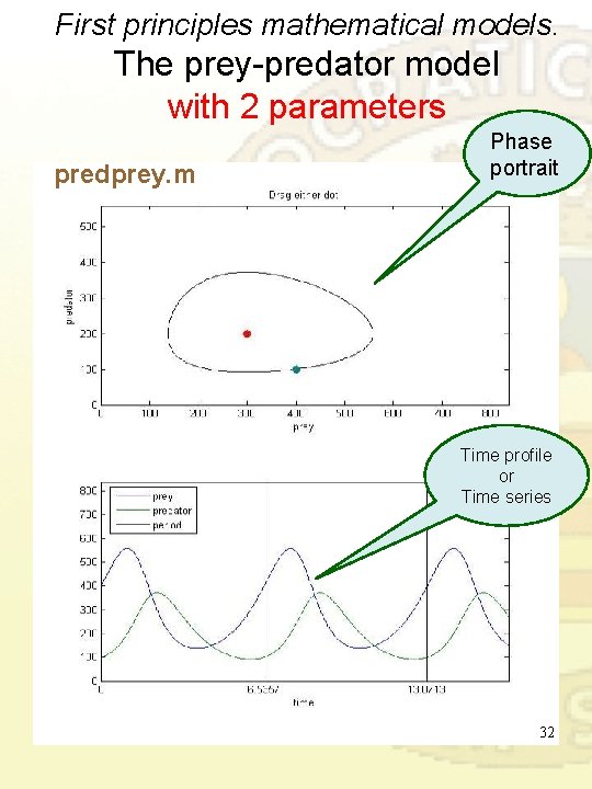 First principles mathematical models. The prey-predator model with 2 parameters predprey. m Phase portrait First principles mathematical models. The prey-predator model with 2 parameters predprey. m Phase portrait