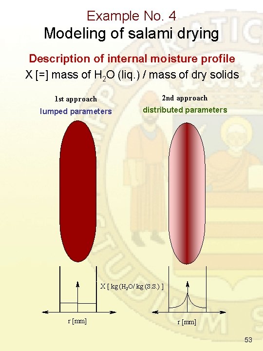 Example No. 4 Modeling of salami drying Description of internal moisture profile X [=]