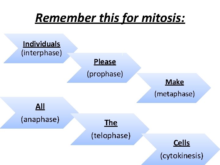 Remember this for mitosis: Individuals (interphase) All (anaphase) Please (prophase) The (telophase) Make (metaphase)