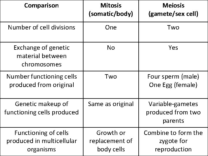 Comparison Mitosis (somatic/body) Meiosis (gamete/sex cell) Number of cell divisions One Two Exchange of