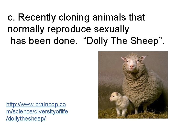 c. Recently cloning animals that normally reproduce sexually has been done. “Dolly The Sheep”.