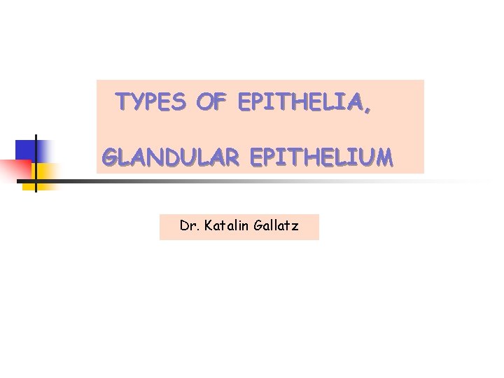 TYPES OF EPITHELIA, GLANDULAR EPITHELIUM Dr. Katalin Gallatz 