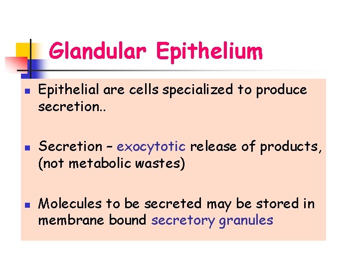 Glandular Epithelium n n n Epithelial are cells specialized to produce secretion. . Secretion