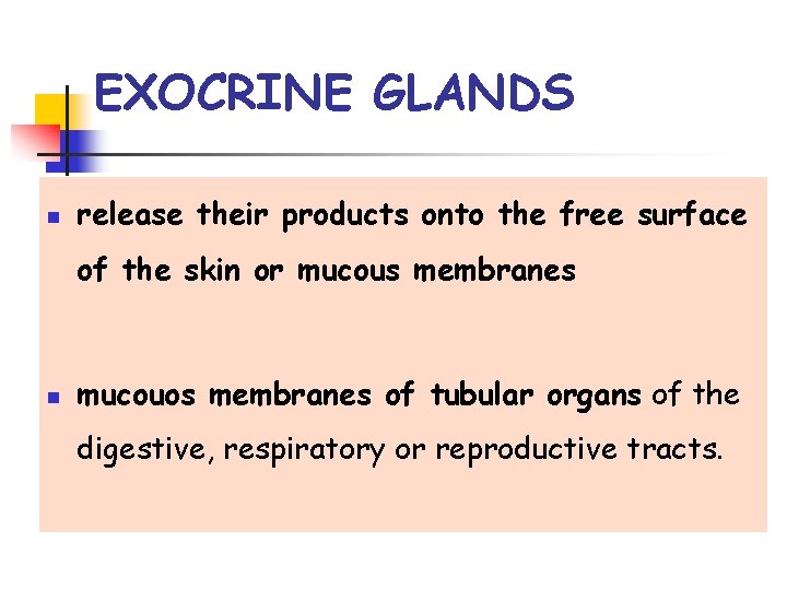 EXOCRINE GLANDS n release their products onto the free surface of the skin or