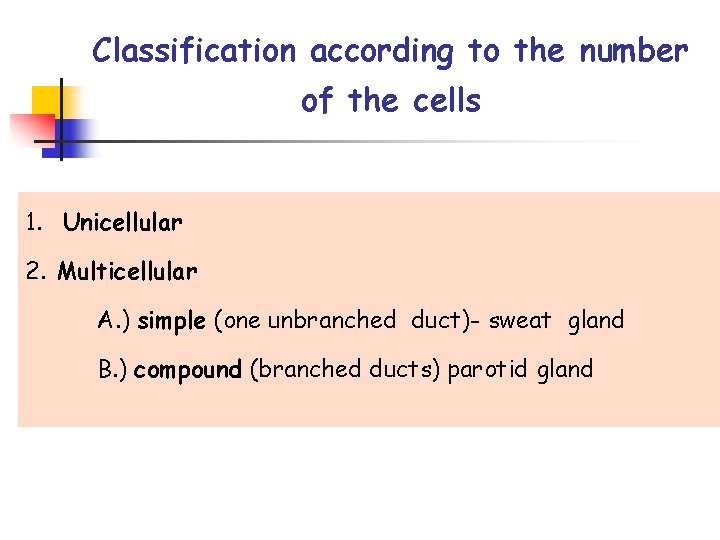 Classification according to the number of the cells 1. Unicellular 2. Multicellular A. )