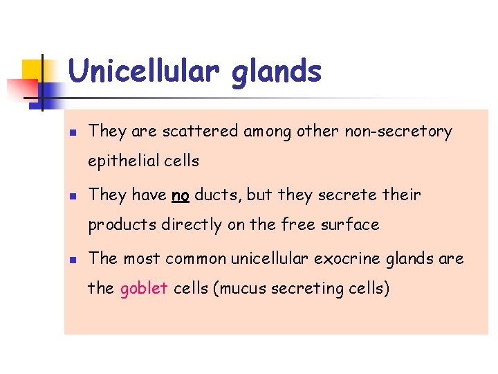 Unicellular glands n They are scattered among other non-secretory epithelial cells n They have