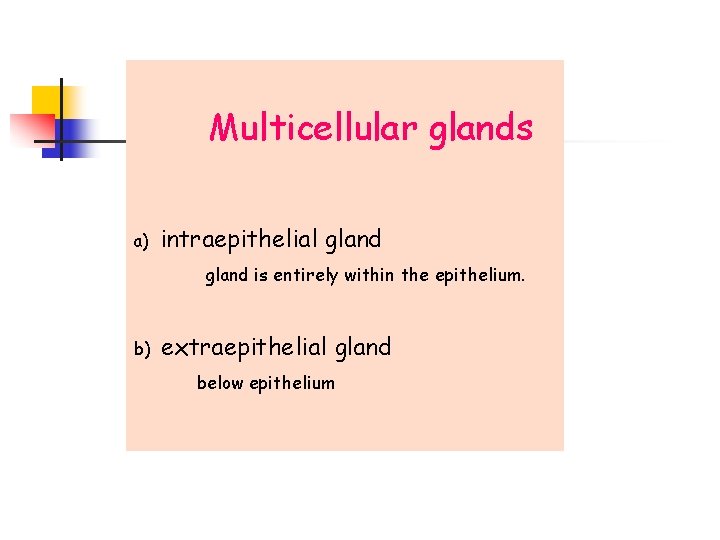 Multicellular glands a) intraepithelial gland is entirely within the epithelium. b) extraepithelial gland below
