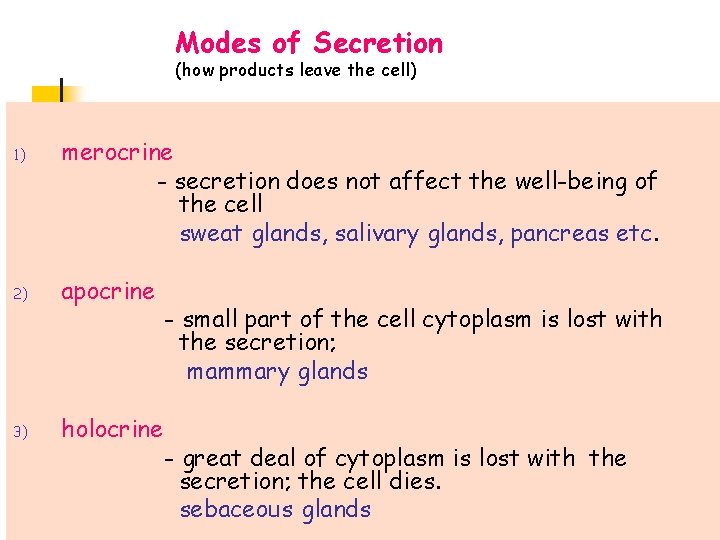 Modes of Secretion (how products leave the cell) 1) merocrine - secretion does not