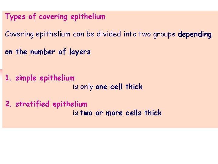 Types of covering epithelium Covering epithelium can be divided into two groups depending on