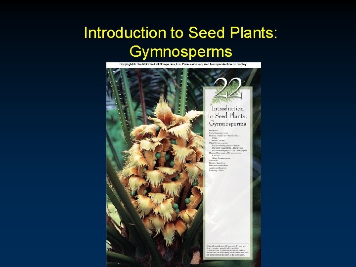 Introduction to Seed Plants: Gymnosperms Introduction to Seed Plants: Gymnosperms