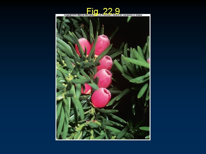 Fig. 22. 9 Fig. 22. 9