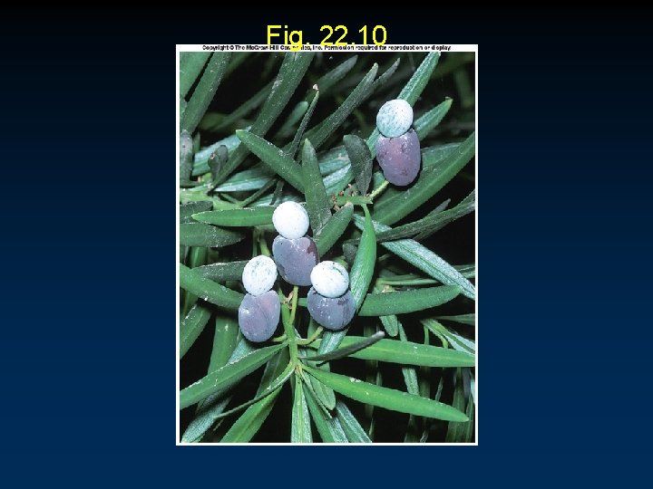 Fig. 22. 10 Fig. 22. 10