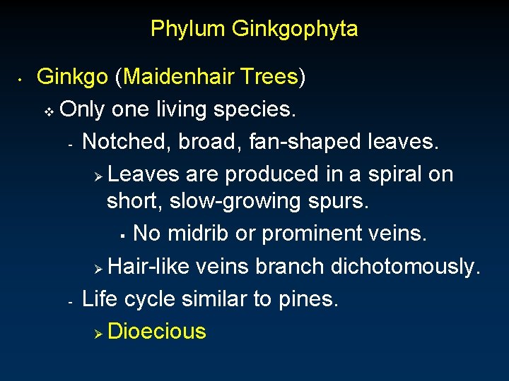 Phylum Ginkgophyta • Ginkgo (Maidenhair Trees) v Only one living species. - Notched, broad, Phylum Ginkgophyta • Ginkgo (Maidenhair Trees) v Only one living species. - Notched, broad,