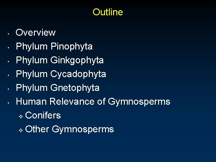 Outline • • • Overview Phylum Pinophyta Phylum Ginkgophyta Phylum Cycadophyta Phylum Gnetophyta Human Outline • • • Overview Phylum Pinophyta Phylum Ginkgophyta Phylum Cycadophyta Phylum Gnetophyta Human